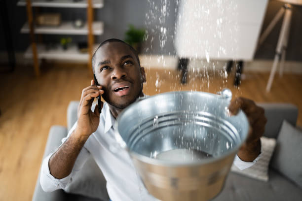 Best Sewage cleanup and water damage restoration  in Middlesborough, KY