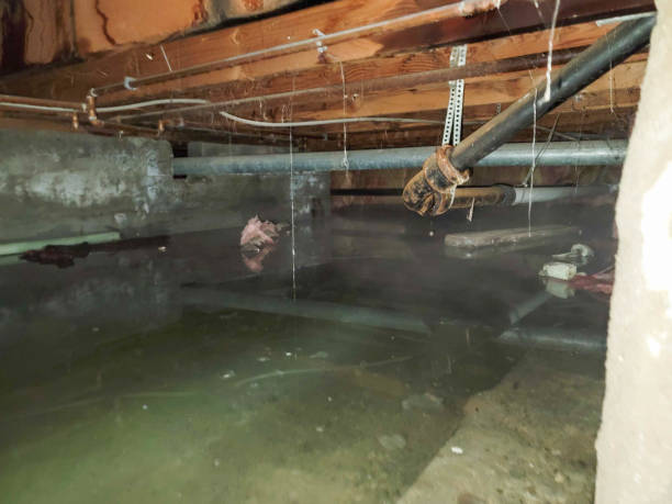 Professional Water damage restoration in Middlesborough, KY
