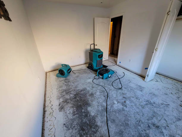Best 24-hour water damage restoration  in Middlesborough, KY